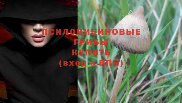 гашик Абинск