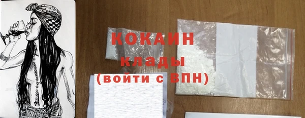 дживик Абаза