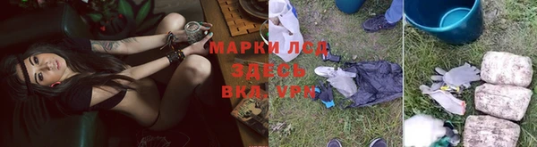 мяу мяу мука Абдулино