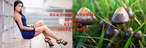 гашик Абинск