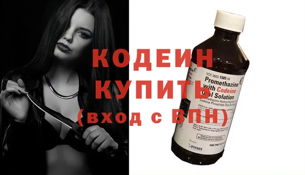 дживик Абаза