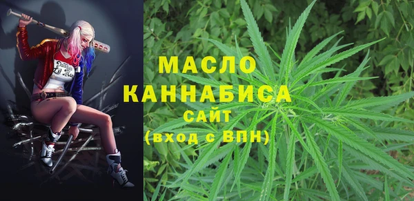 дживик Абаза