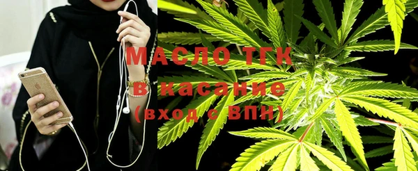 дживик Абаза