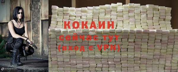 дживик Абаза