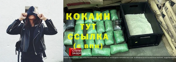 дживик Абаза