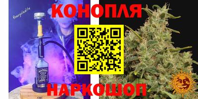 a pvp Заводоуковск