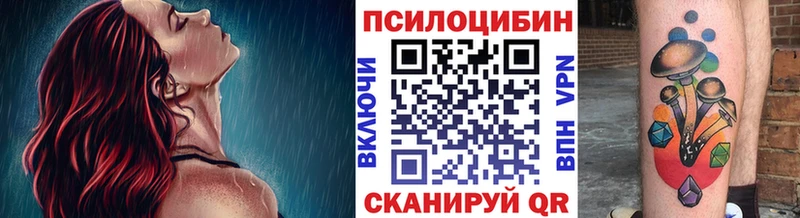 продажа наркотиков  Фрязино  Псилоцибиновые грибы Psilocybine cubensis 